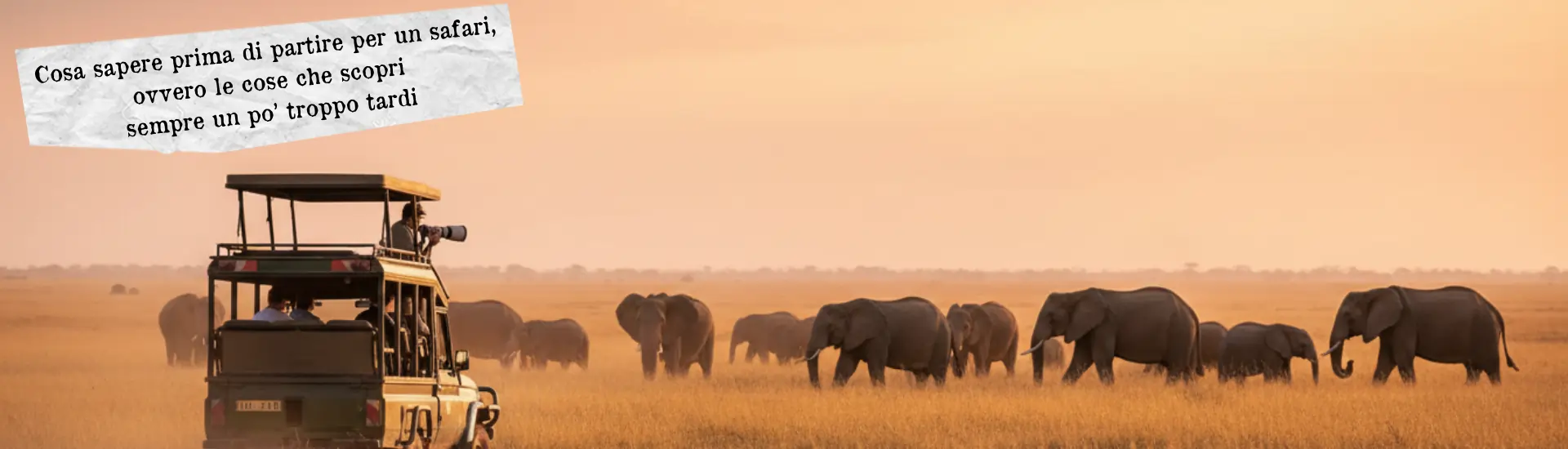 Cosa sapere prima di partire per un safari larga